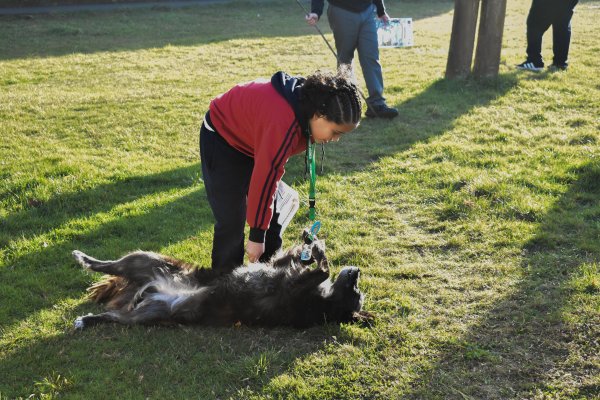 Forjadores Ambientales realizaron jornada de observación científica en el Museo de Cunco